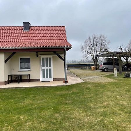 Ferienhaus Altenhof Mueritz المظهر الخارجي الصورة